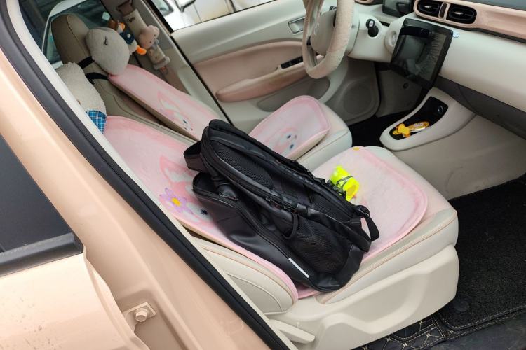 Used Leapmotor T03 2023 310 Lite Edition Right Front Seat