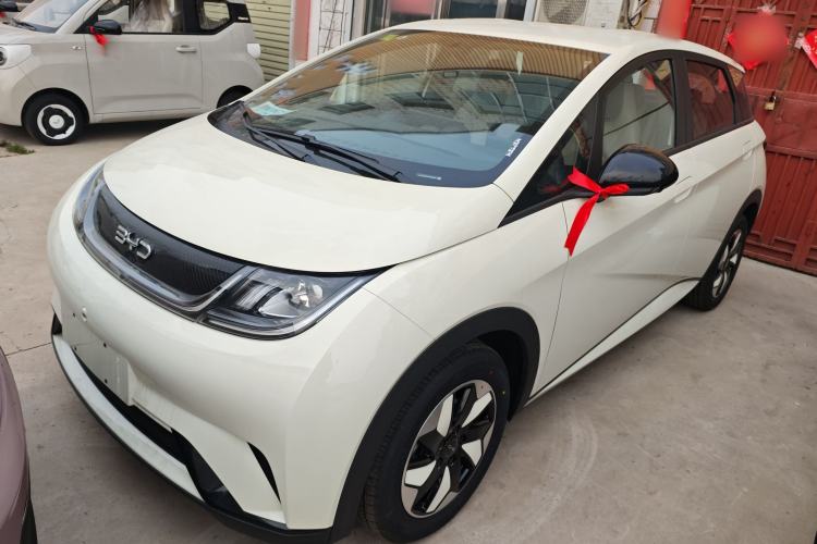 Used BYD Dolphin 2025 420km Free Edition