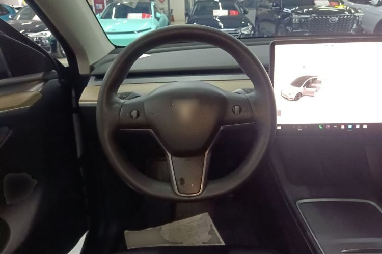 Used Tesla Model Y 2021 Standard Range Rear-Wheel Drive Version
