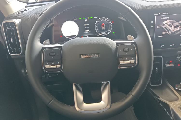 Used Haval DARGO 2024 2.0T DCT Chinese Rural Dog Edition
