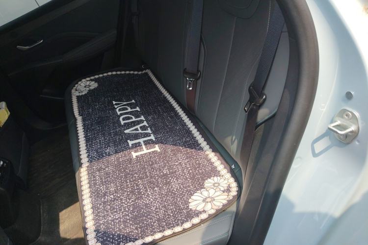 Used BYD Qin PLUS 2025 DM-i Smart Drive 55KM Leading Model Left Rear Seat