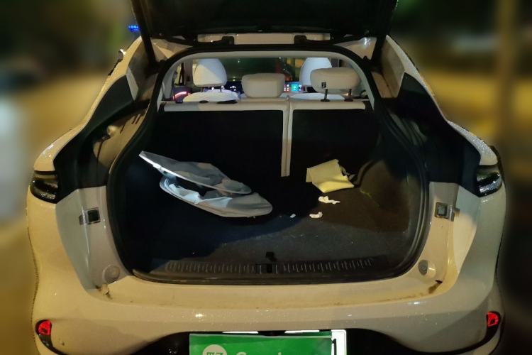 Used IM LS6 2023 Max Standard Edition
