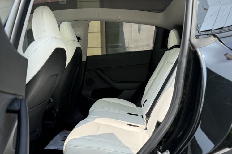 Used Tesla Model Y 2022 Revised Version Long-Range All-Wheel Drive