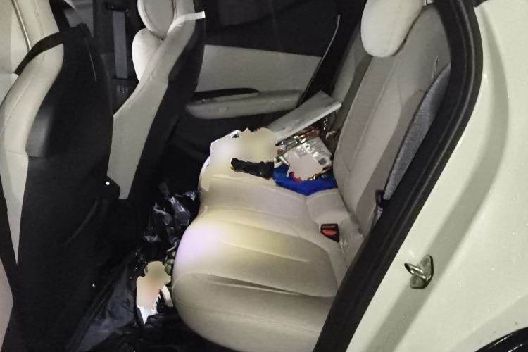 Used Lynk & Co Z20 2025 530 km Range Rear-Wheel Drive Max
