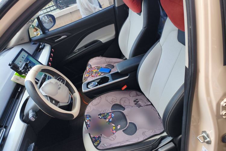 Used NETA AYA 2023 318 Lite Left Front Seat