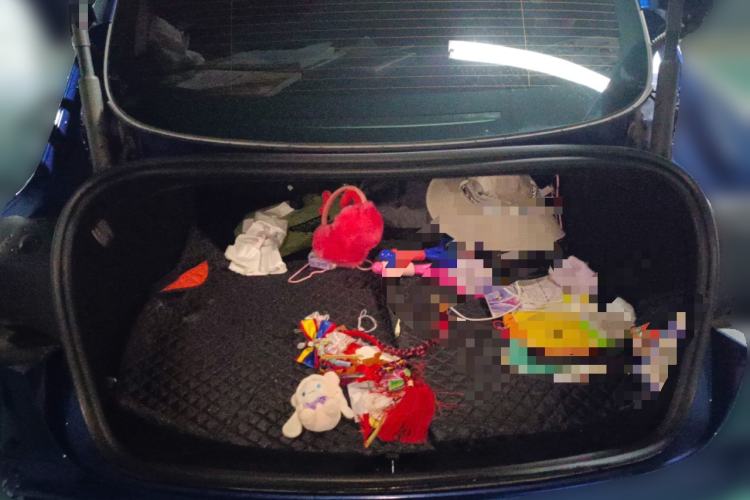 Used Tesla Model 3 2023 Rear-Wheel-Drive Version
