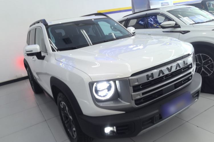 Used Haval DARGO 2024 2.0T DCT Chinese Rural Dog Edition
