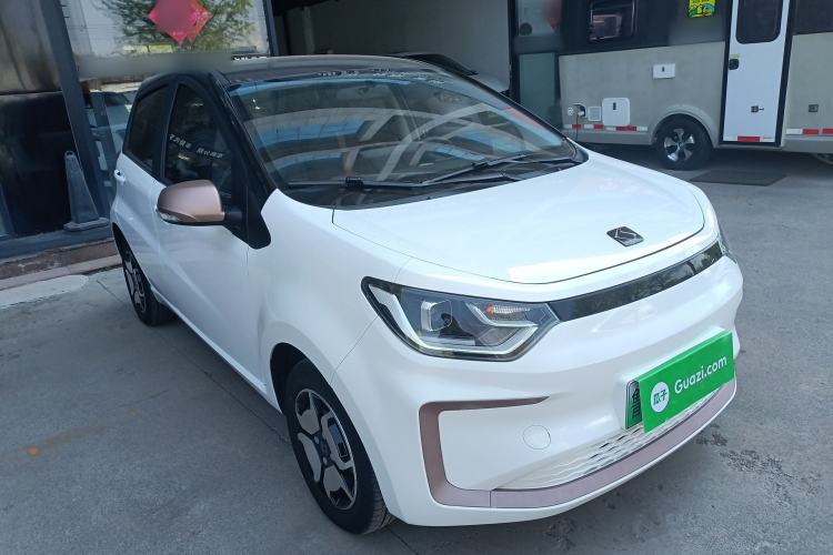 Used SOL E10X 2022 Flower Fairy Style Baby's Breath
