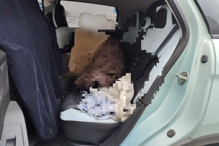 Used Geometry E Firefly 2024 301km Starlight
