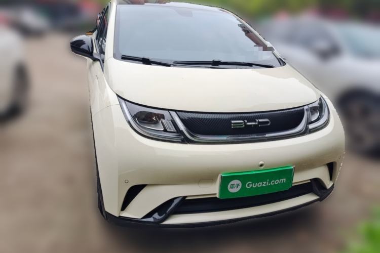 Used BYD Dolphin 2023 420 km Fashion Edition Front