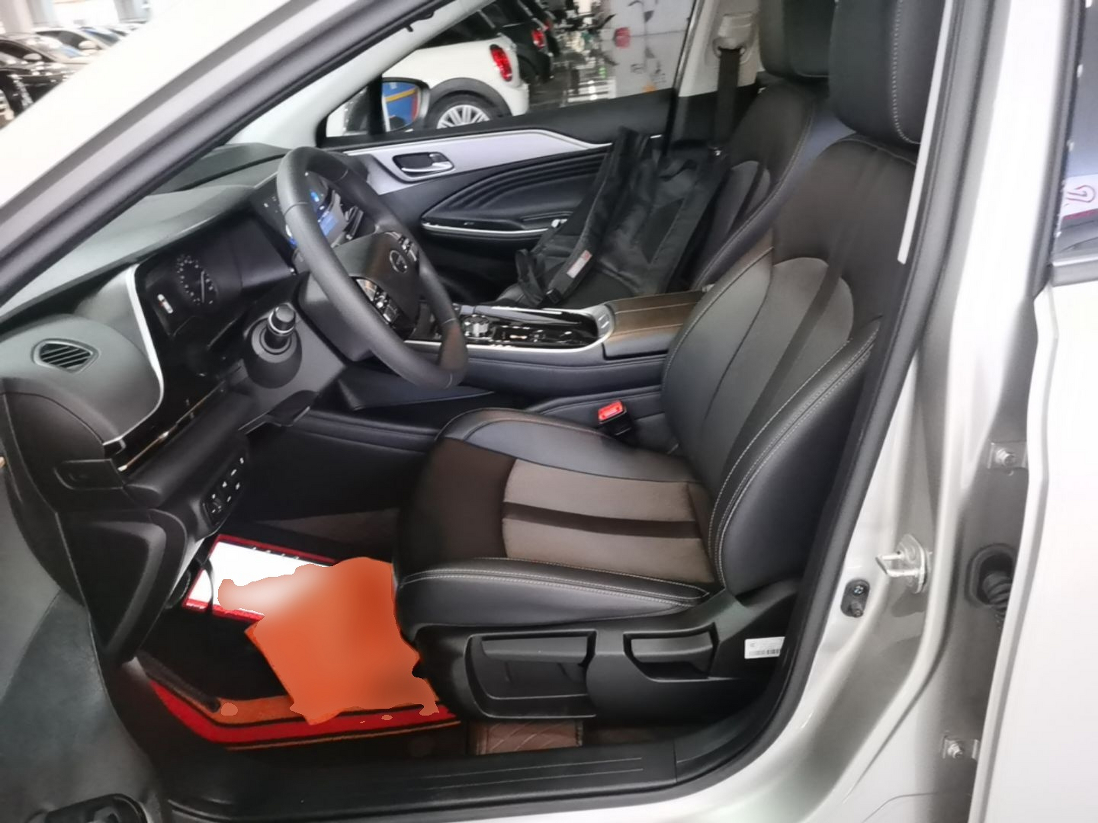 Interior delantero