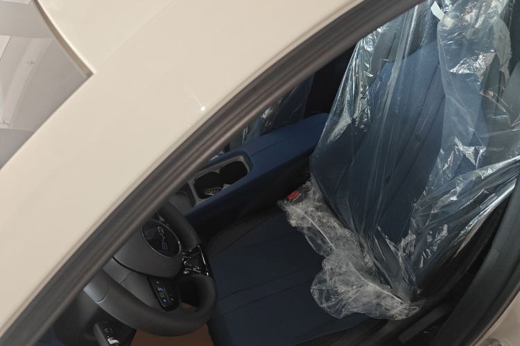 Used BYD Seagull 2025 Intelligent Driving Version 305 km Dynamic Edition Left Front Seat