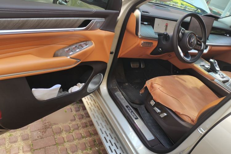 Used Tank 500 New Energy 2025 Hi4-Z