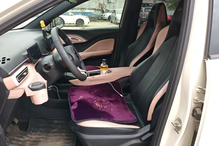 Used BYD Seagull 2023 Active Version Left Front Seat