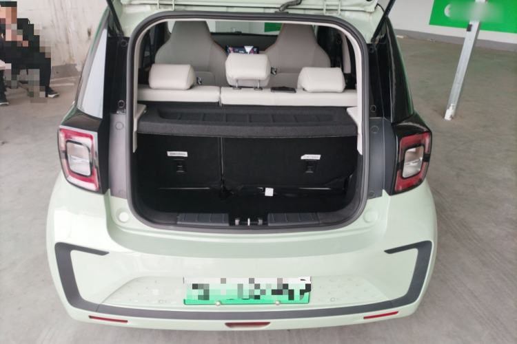 Used SOL E10X 2022 Flower Fairy Design Four-Leaf Clover
