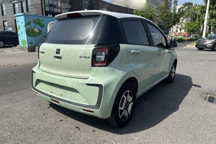 Used SOL E10X 2022 Flower Fairy Style Baby's Breath