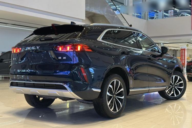 Used Wey Mocha 2021 2.0T Two-Wheel-Drive Premium Edition
