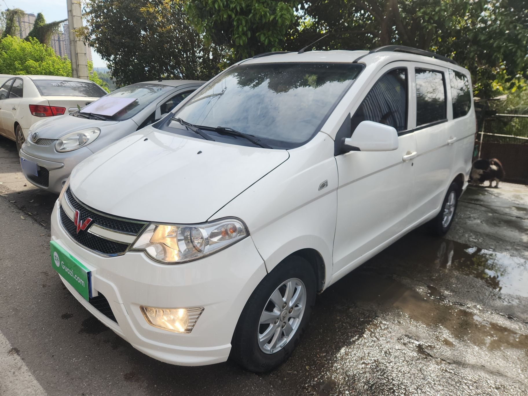 Parte inferior delantera