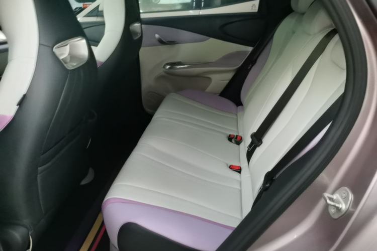 Used BYD Dolphin 2021 401km Knight Edition Left Rear Seat