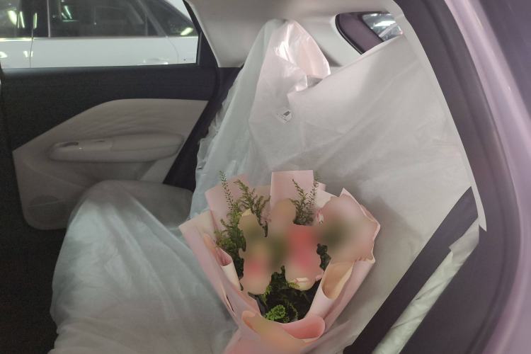 Used ARCFOX T1 2025 Model 425 PRO
