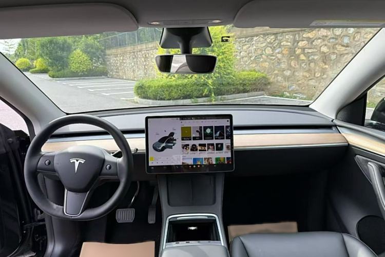 Used Tesla Model Y 2021 Standard Range Rear-Wheel Drive Version
