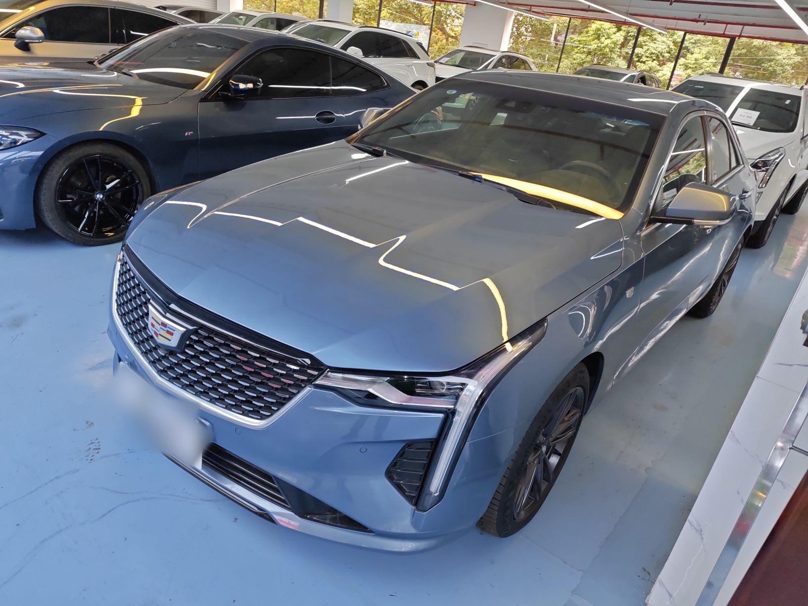 تحت مقدمة السيارة