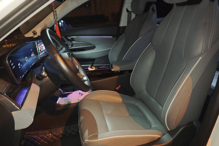 Used Buick E5 2023 Zhenxiang Standard Range Edition Left Front Seat