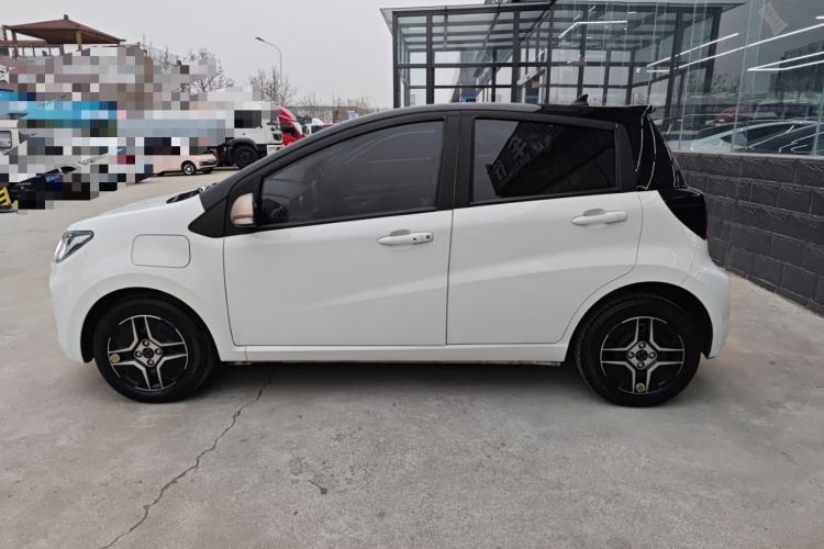 Used SOL E10X 2022 Flower Fairy Design Four-Leaf Clover