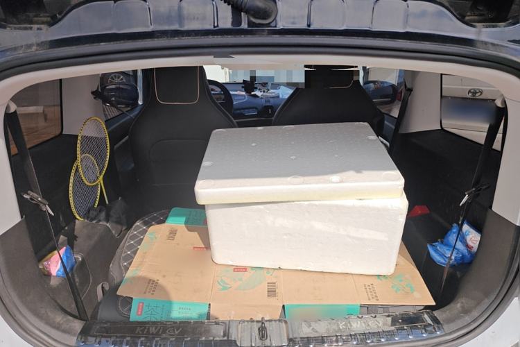 Used Baojun KiWi EV 2022 Artist Lite Edition Lithium Iron Phosphate