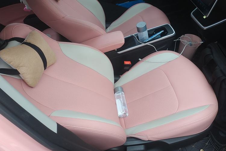 Used NETA V 2021 Long-Range Industry Custom Edition
