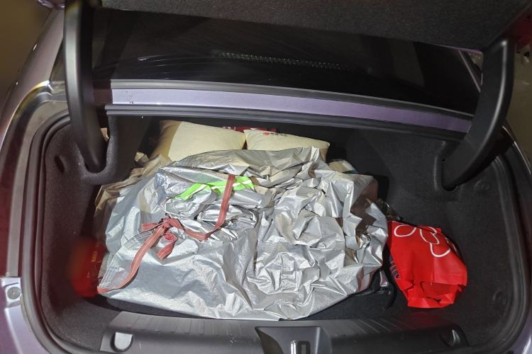 Used ORA Lightning Cat 2022 555 km Luxury Edition Trunk