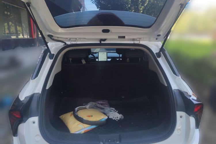 Used NETA V 2021 Long-Range Entertainment Edition Upgrade Model
