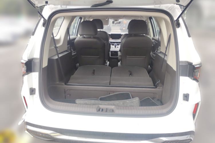 Used Livan Maple 80v L 2024 407 km 6 Seats
