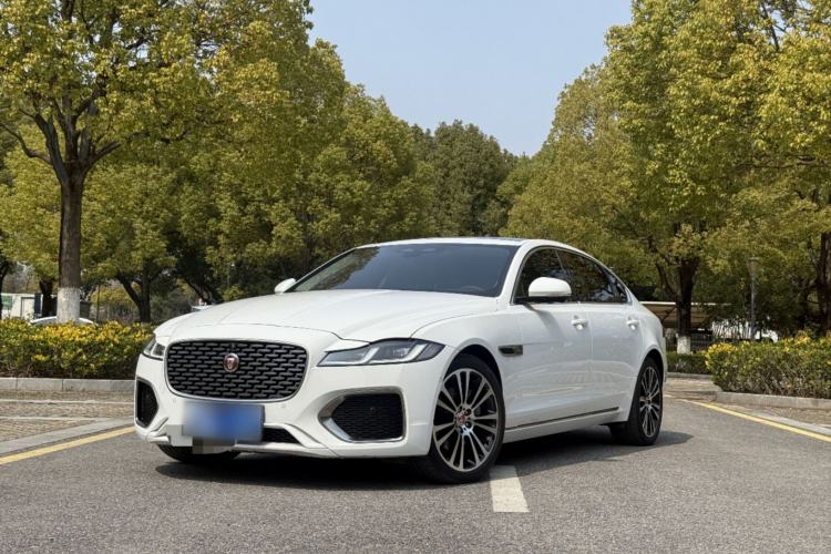 Used Jaguar XFL 2024 2.0T P250 Two-Wheel Drive Prestige Luxury Edition
