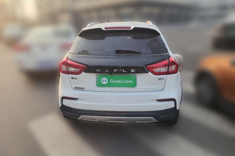 Used Livan Maple 30X 2020 Travel Edition
