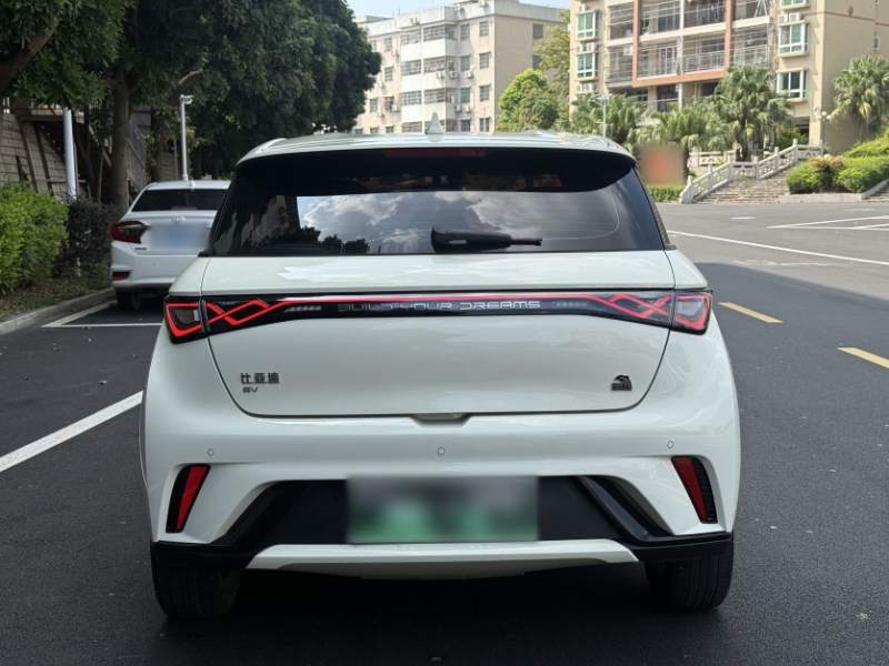 Used BYD Dolphin 2023 420 km Fashion Edition — 35
