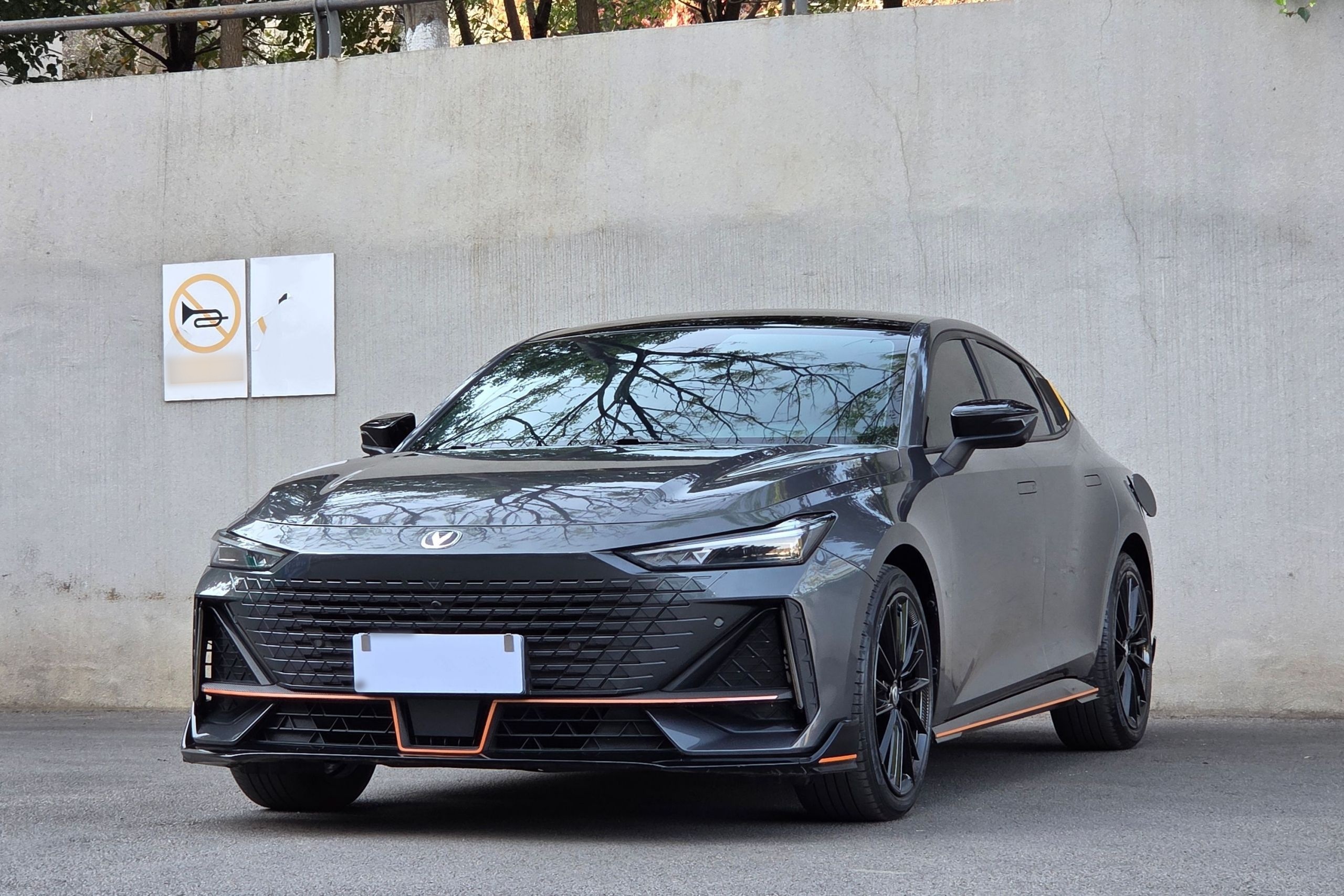 Parte inferior delantera