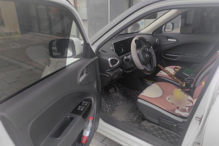 Used ORA White Cat 2020 360 km Luxury Version Driver Seat