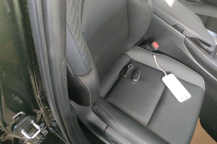 Used Lexus UX New Energy 2020 300e Pure·Joy Edition Right Front Seat