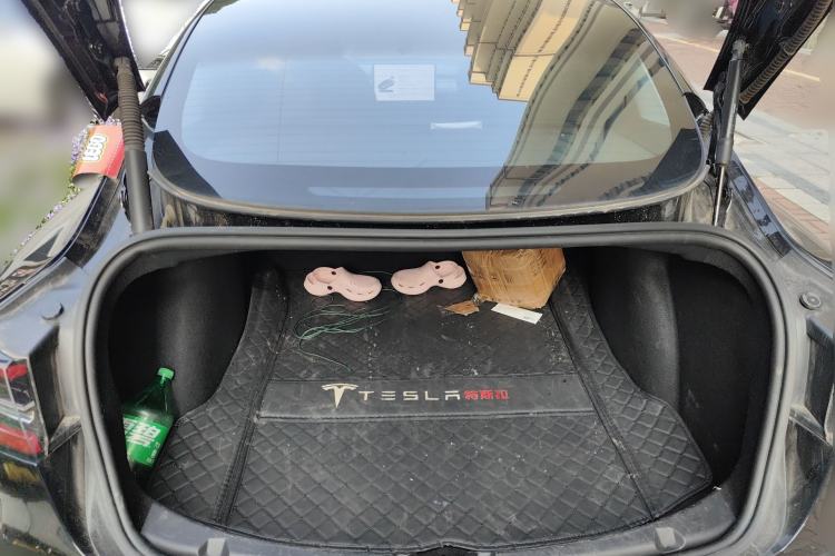 Used Tesla Model 3 2021 Standard Range Rear-Wheel Drive Upgraded Version 3D6