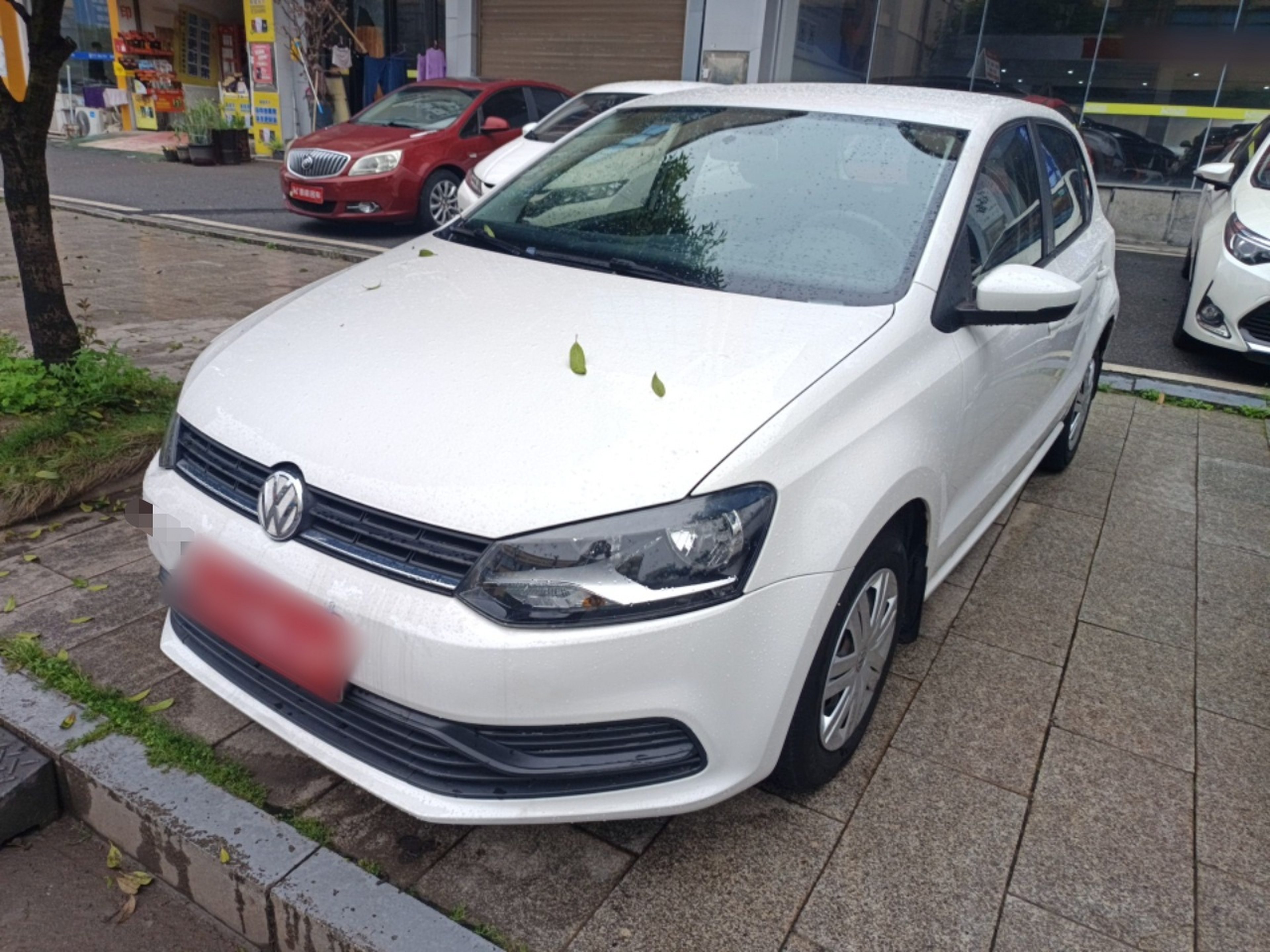 Parte inferior delantera