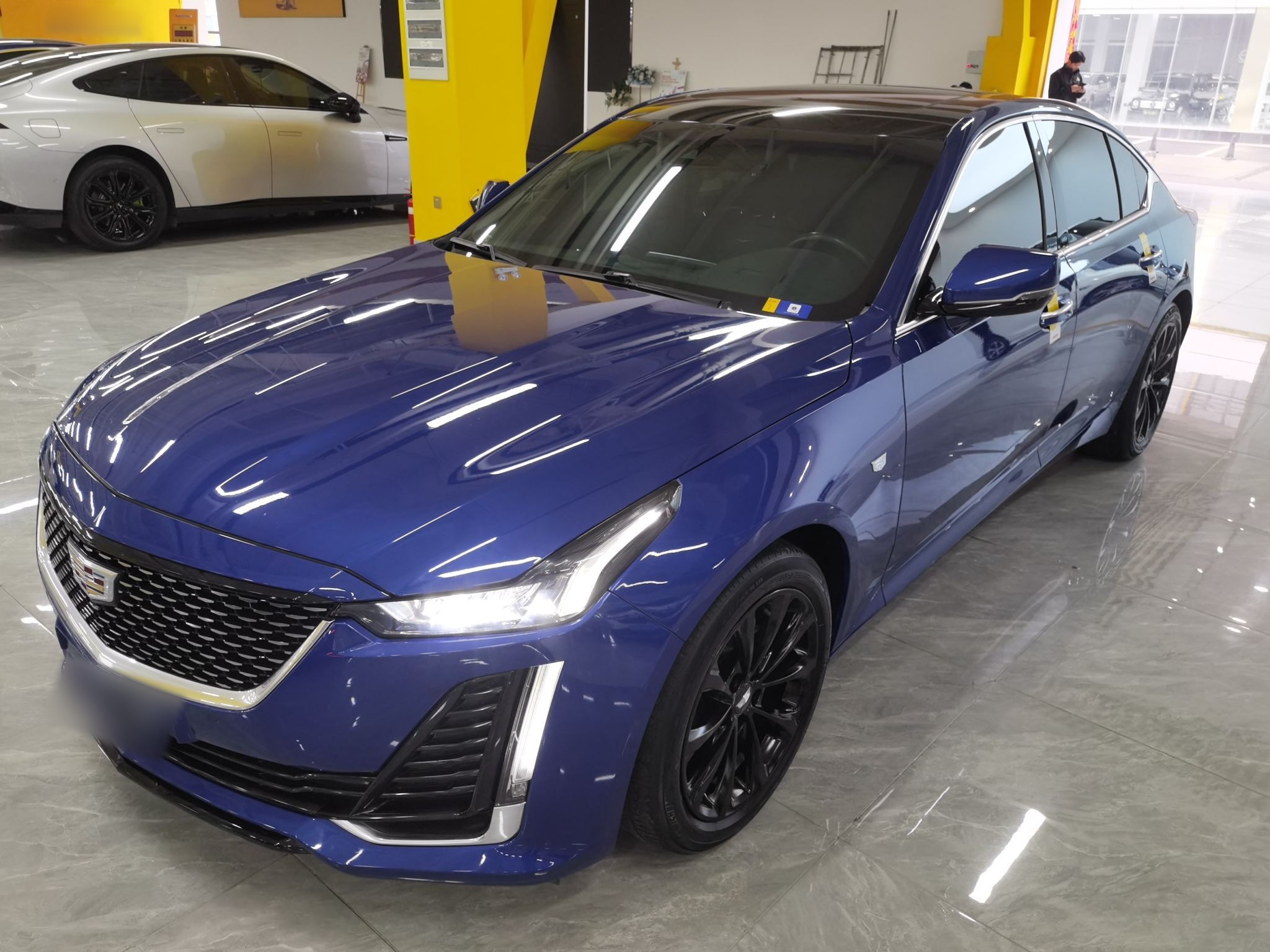 Parte inferior delantera