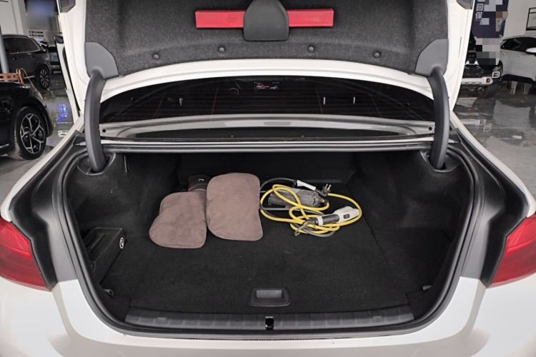 Used BMW 5 Series New Energy 2019 530Le Luxury Package