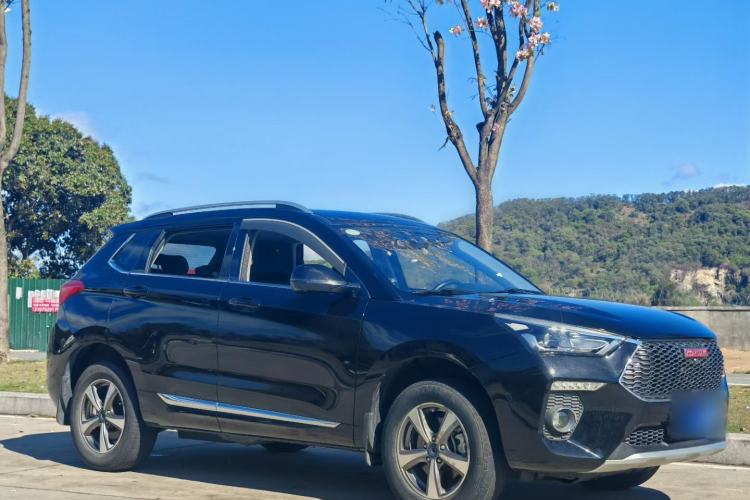 Used Haval H6 Coupe 2018 Red-Label 1.5T Automatic Two-Wheel Drive Luxury Model
