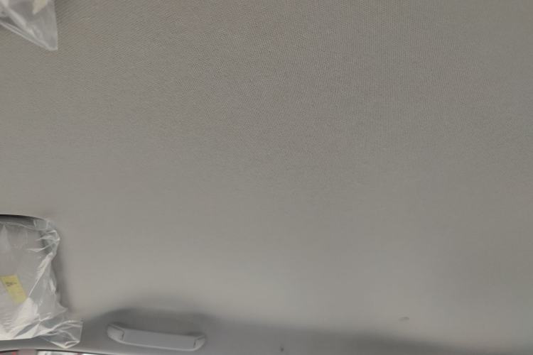 Used Qiyuan Lumin 2025 205 km Xiangqin Version