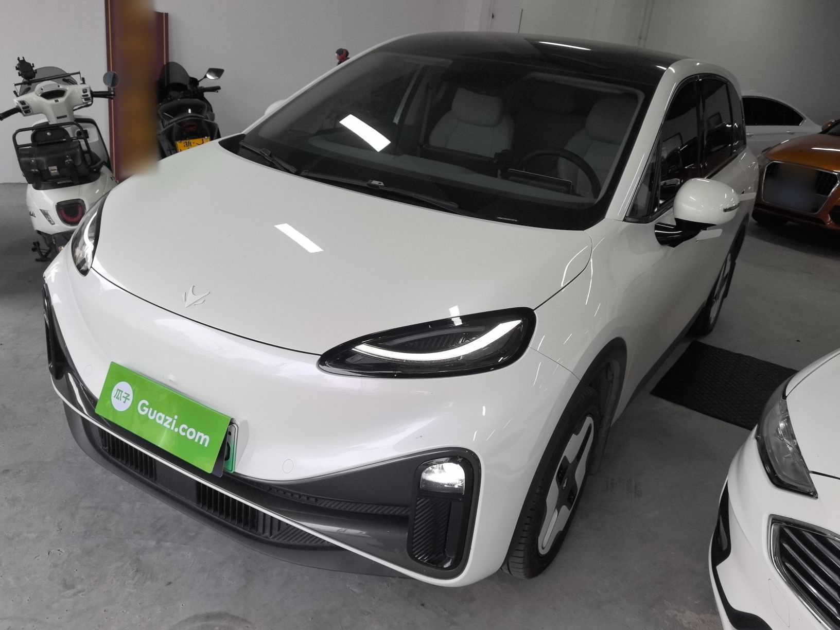 تحت مقدمة السيارة