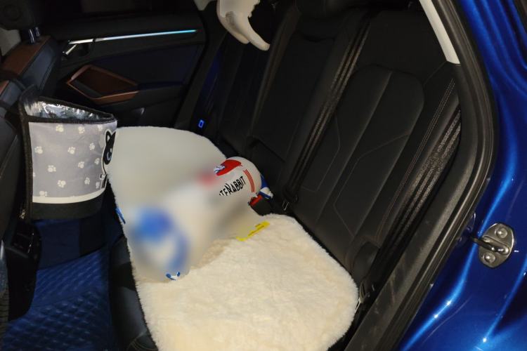 Used Audi Q3 2019 40 TFSI Fashionable and Elegant Model
