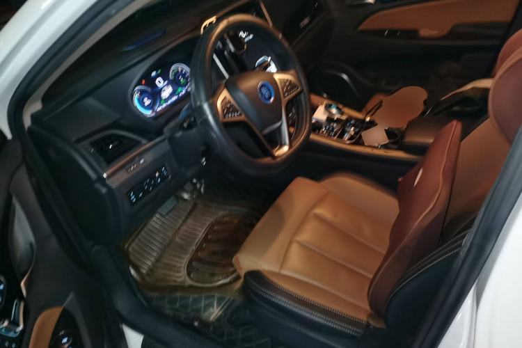 Used BYD Qin New Energy 2018 Qin EV450 Smart Connect Prestige Model
