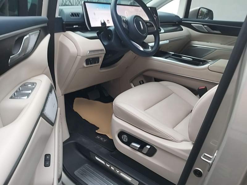 Used Wey Gaoshan 2023 Four-Wheel Drive Flagship Edition — 15