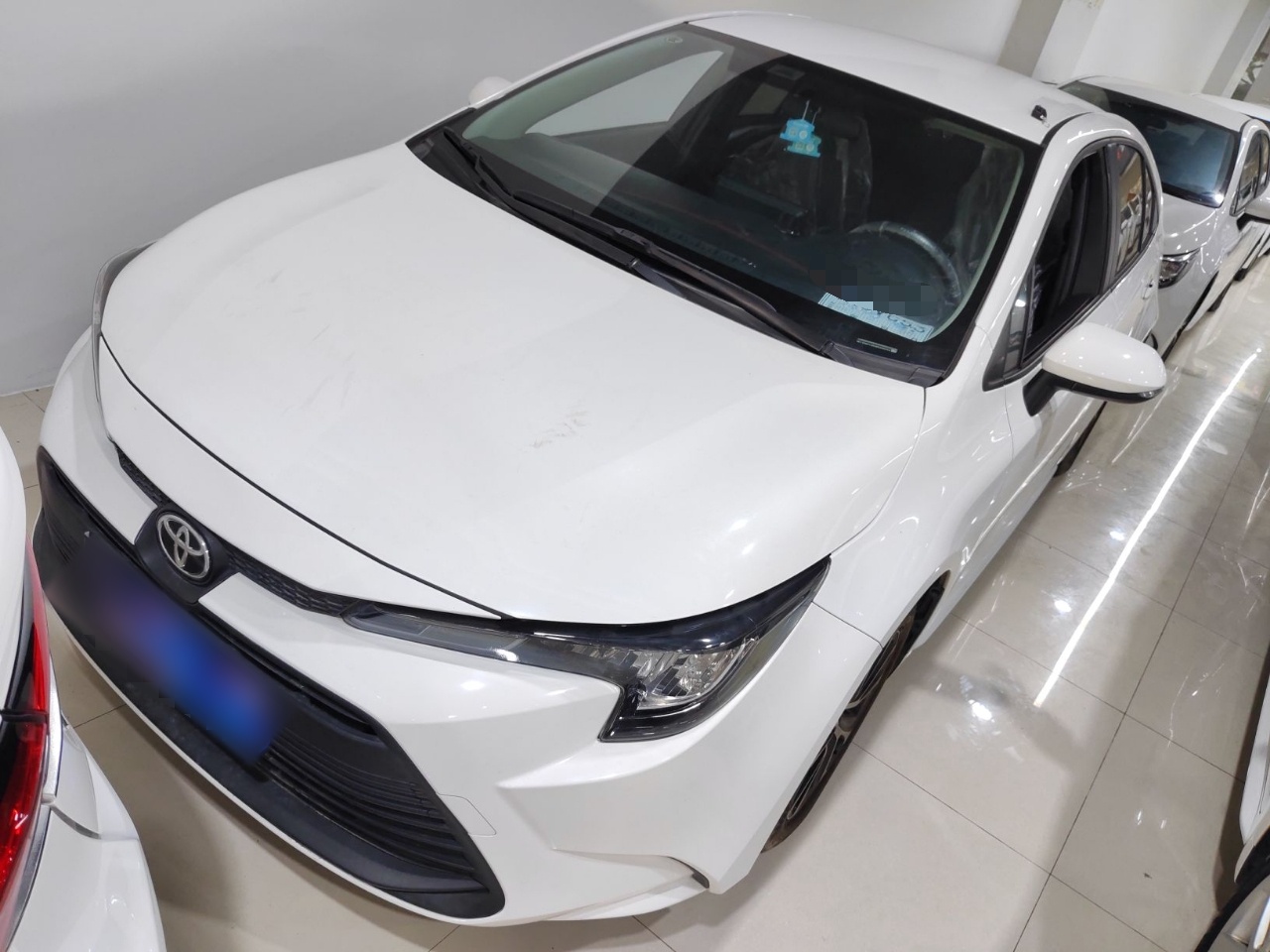 Parte inferior delantera